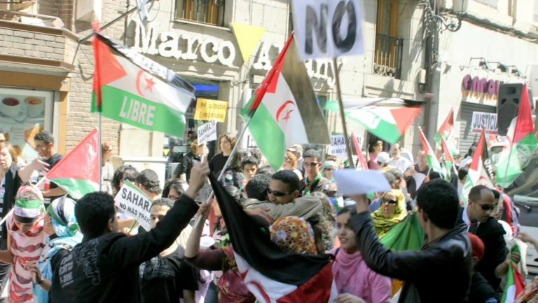 Morocco’s 2,700km Berm Divides Western Sahara and Still Harms Ecology