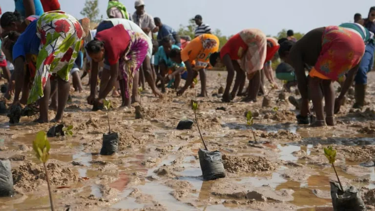 African Communities Want Climate Services Built Around Local Needs, Researchers Find