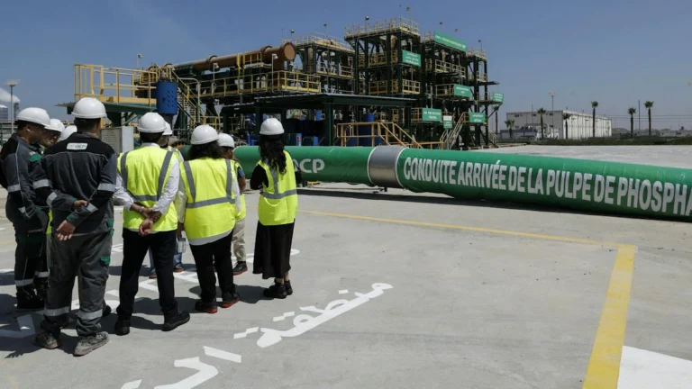 Africa Holds 41 Transition Minerals but Still Exports Them Raw, Study Finds