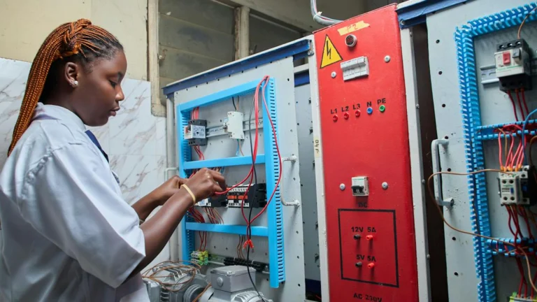 Ghana and South Africa’s Green Energy Plans Often Overlook Women, Study Finds