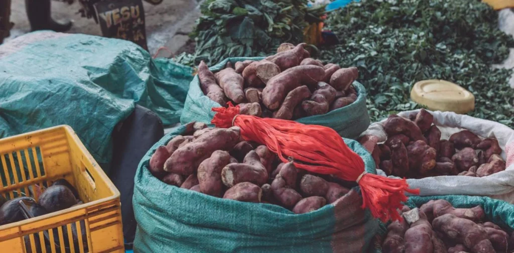 One-Third of Food Lost or Wasted, 324 Studies Show Fixes