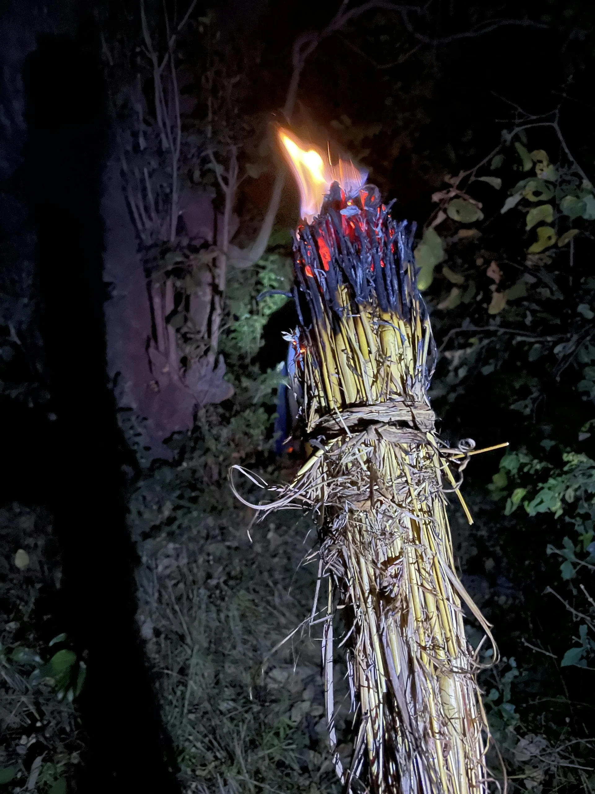 A bundle of grass with flames at the end